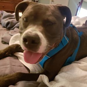 Meet your Posher, Wendy